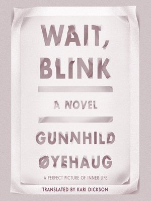 cover image of Wait, Blink